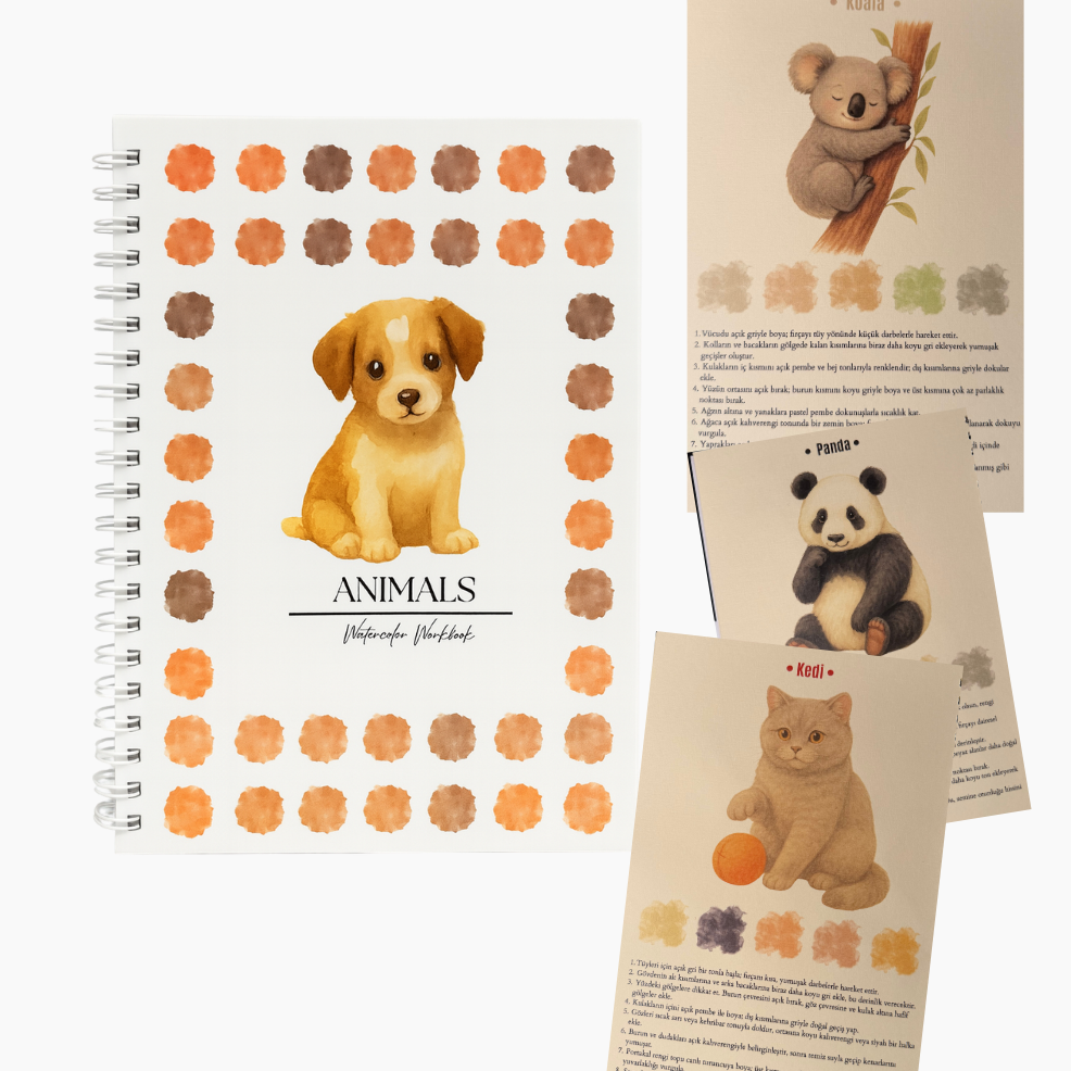 Rehberli Sulu Boya Boyama Kitapları