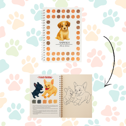 Rehberli Sulu Boya Boyama Kitapları