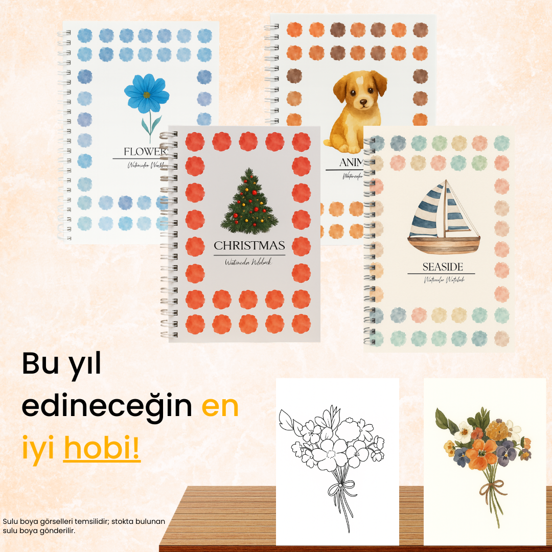 Rehberli Sulu Boya Boyama Kitapları