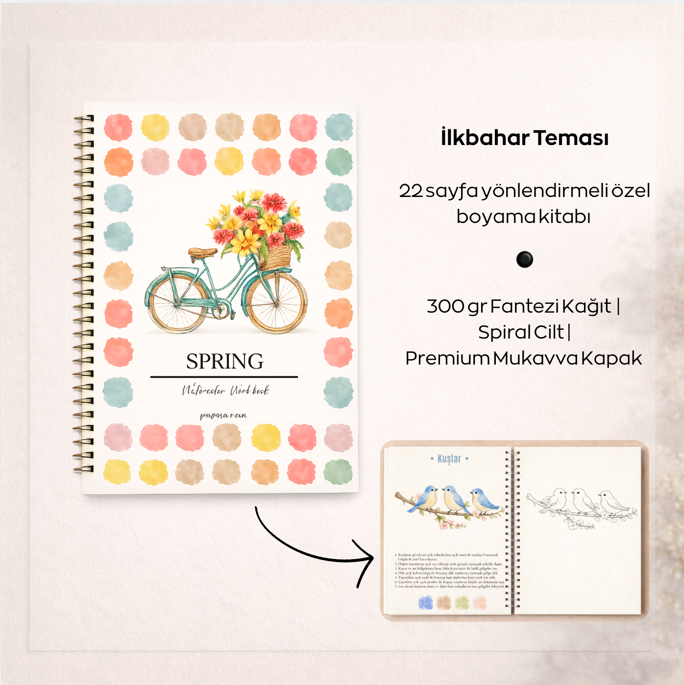Rehberli Sulu Boya Boyama Kitapları